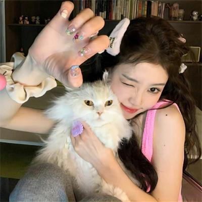 绝望主妇第一季